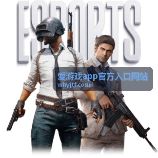 爱游戏app官方入口网站账号登录保护与登录记录核对示意